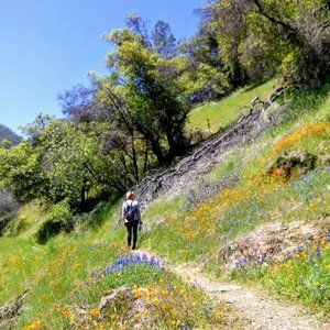 Meet your Posher, Lea